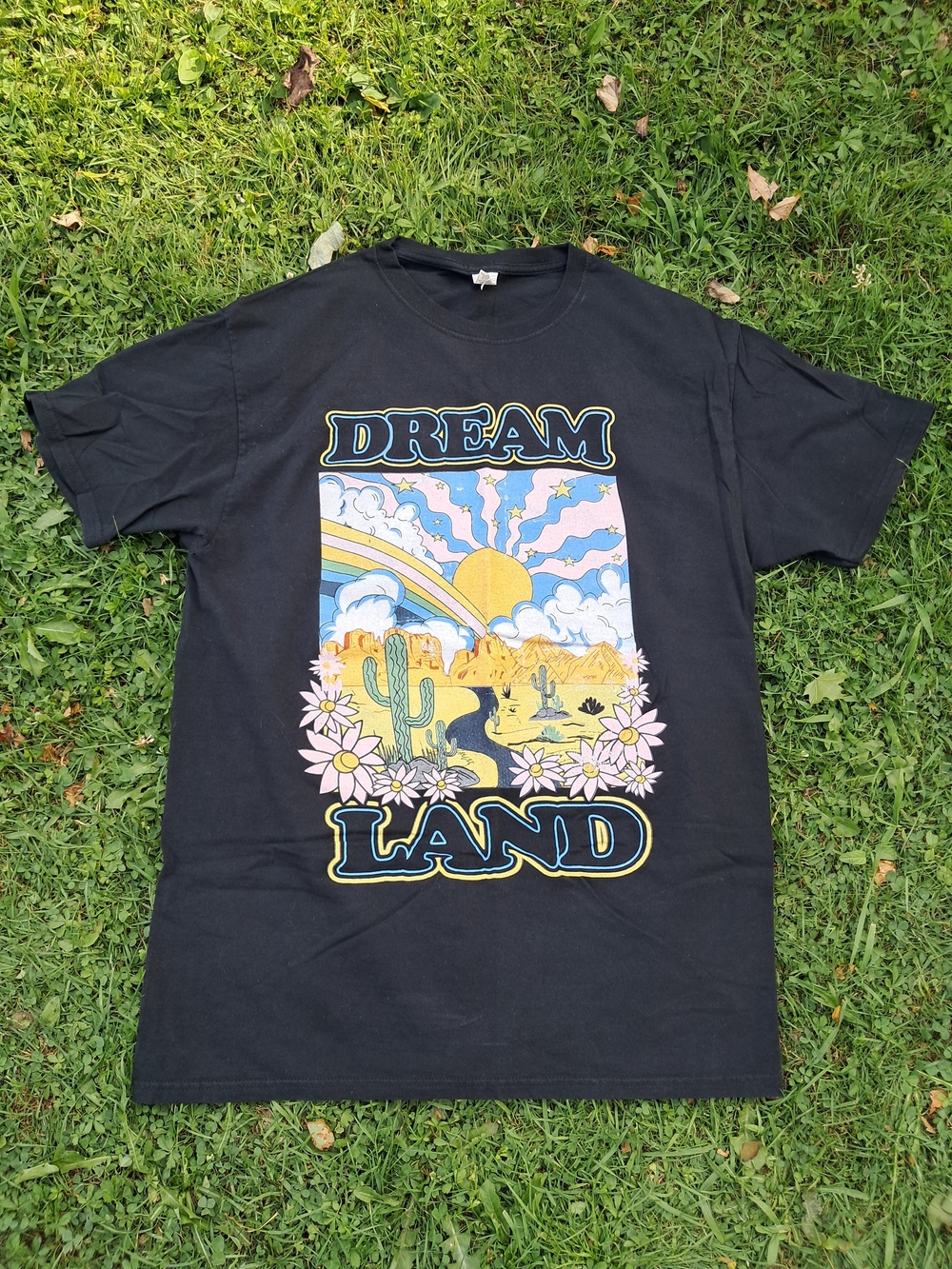 Dreamland Graphic Tee - Black with Pastel Desert Print